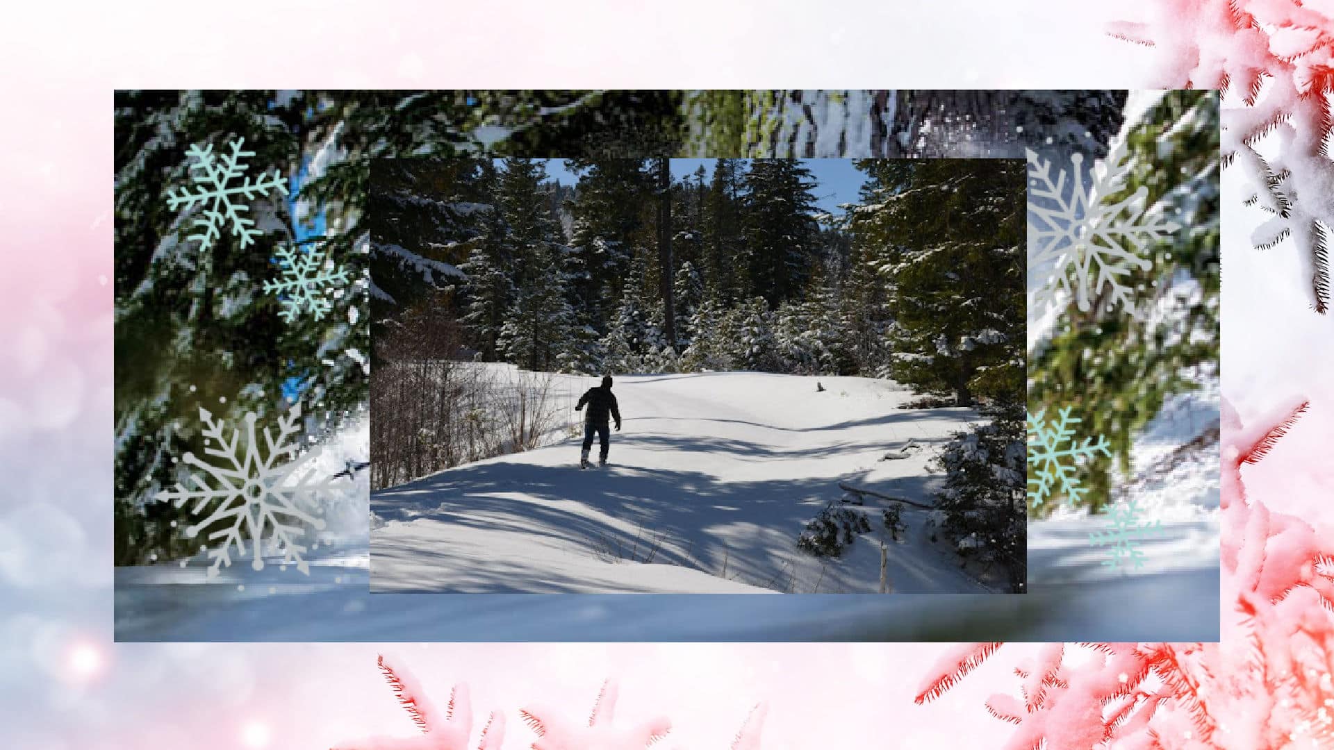 Man snowshoeing across a snowy meadow in the woods