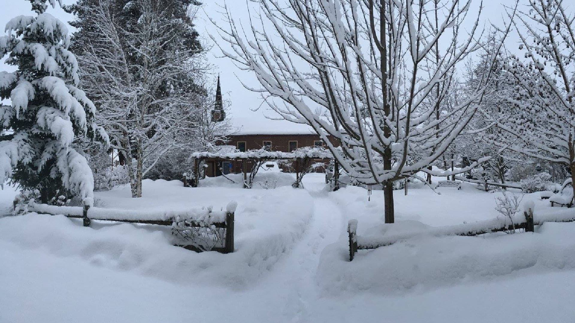 Front Yard Snow Scene