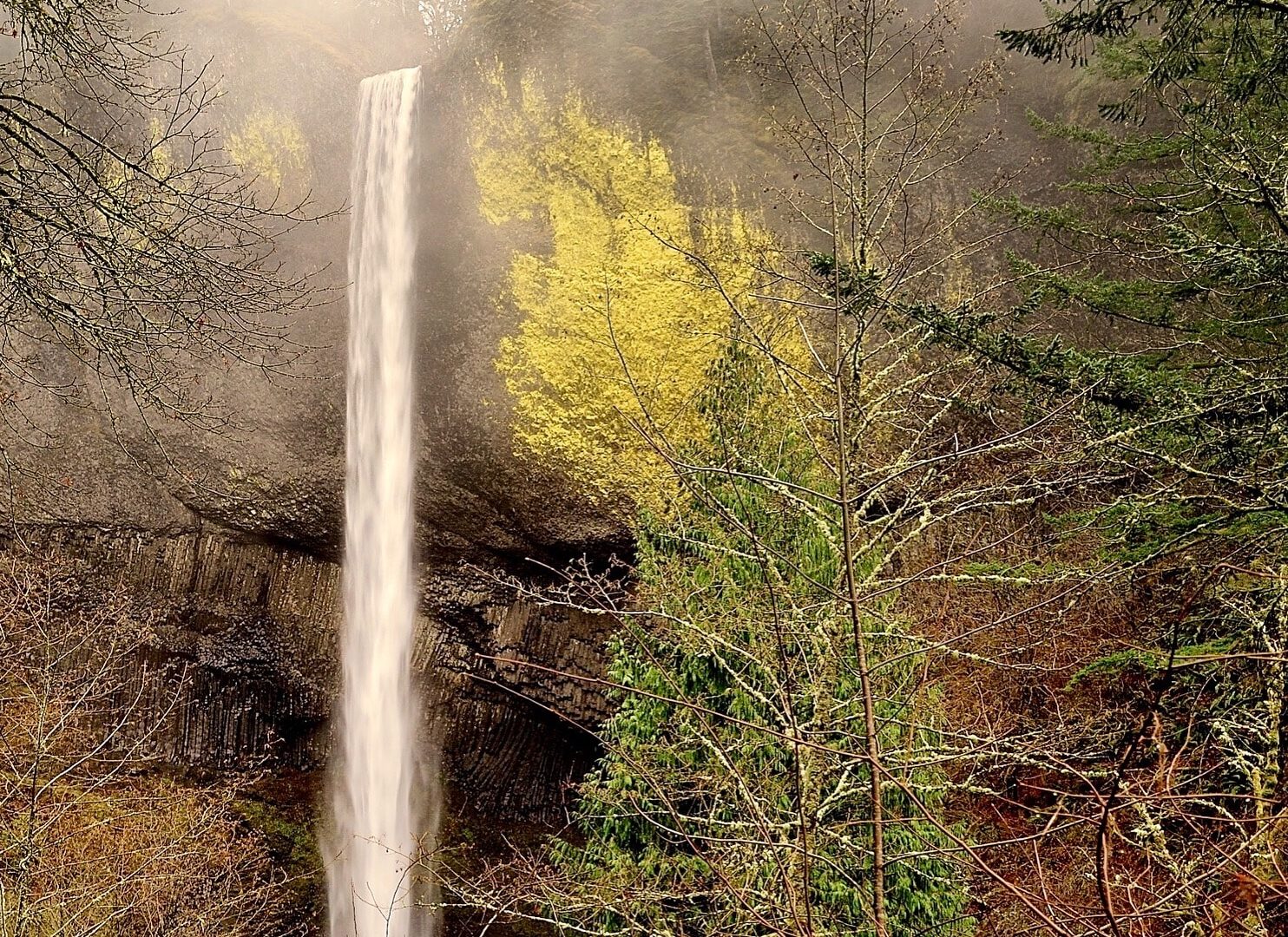 Latourell Falls