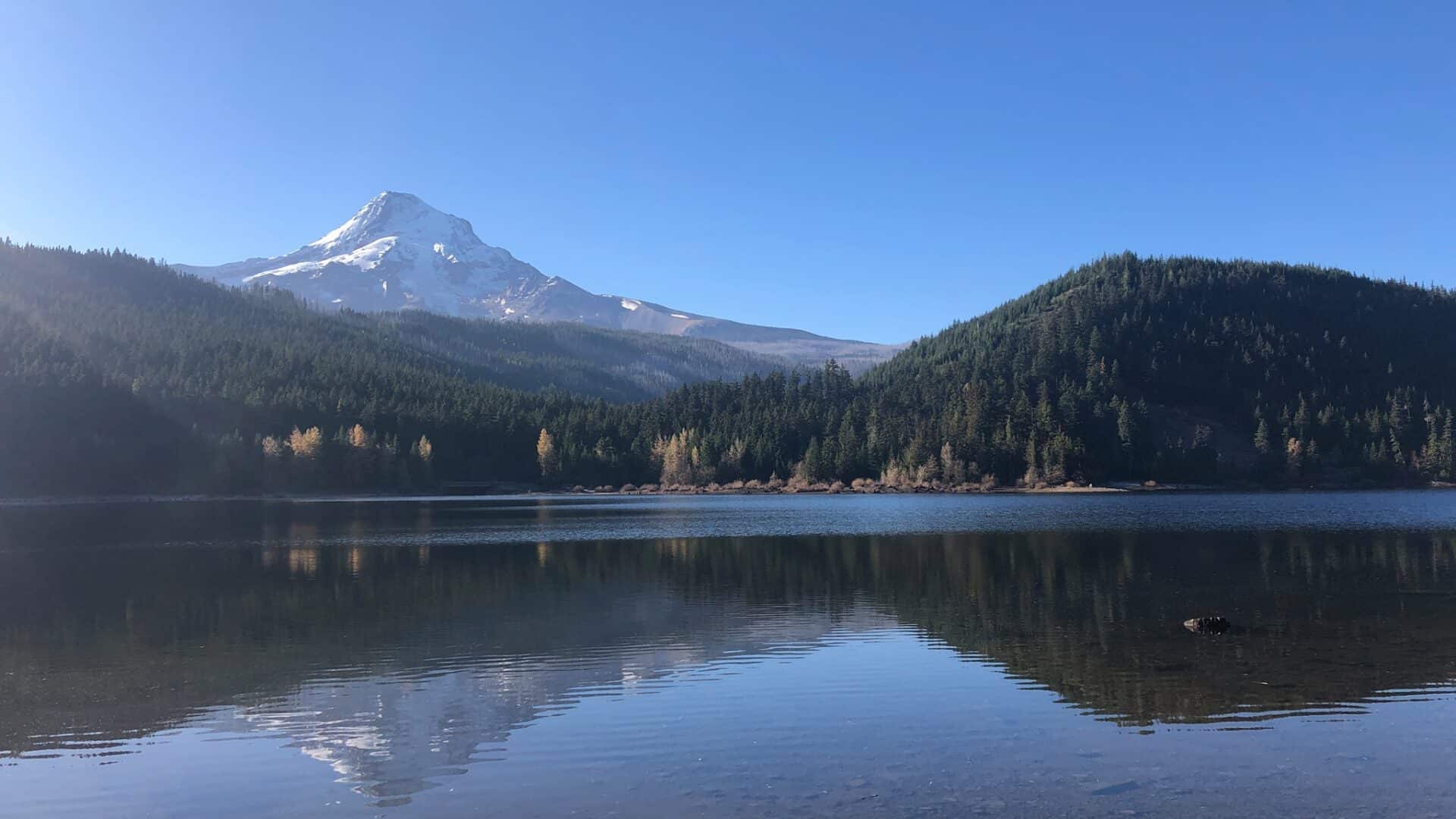 Mt Hood Reflection in a very calm Laurance Lake