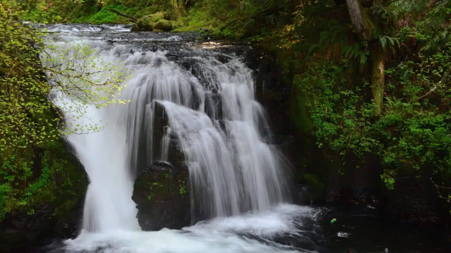 Little Multnomah Falls