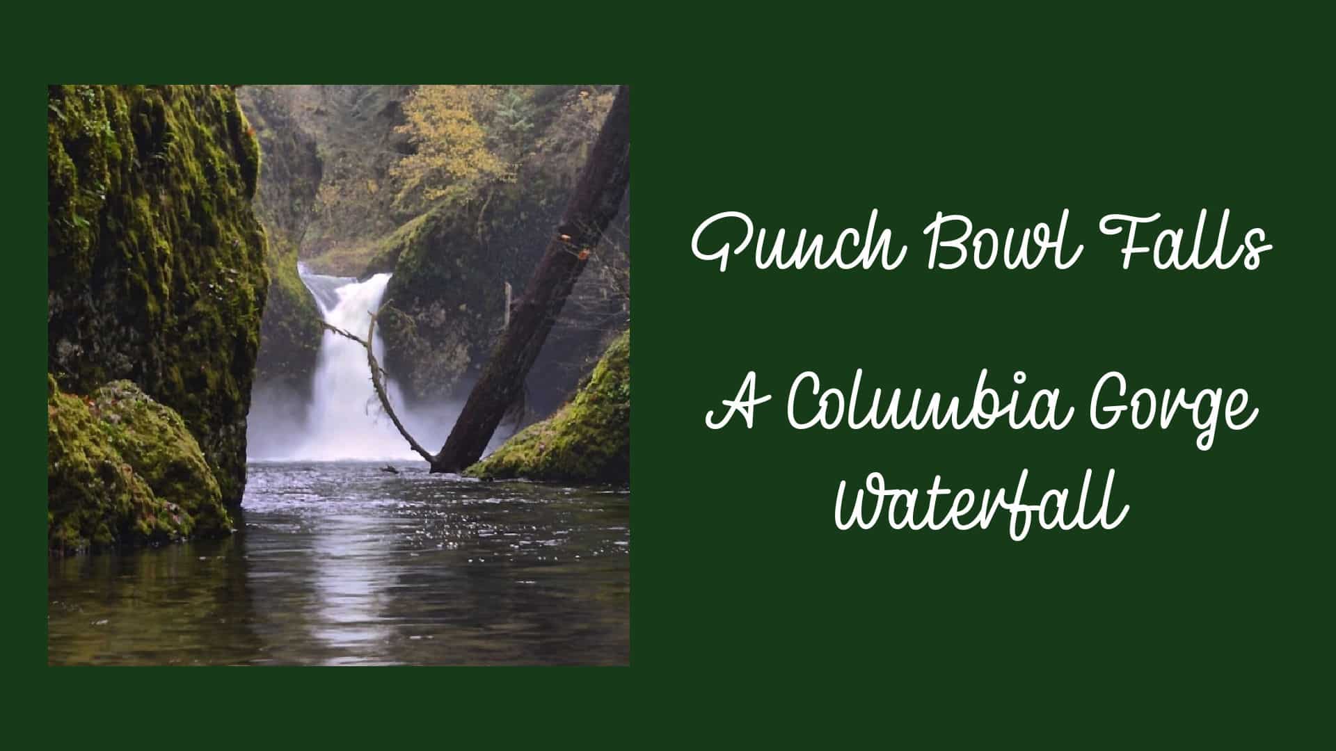 image of Punch Bowl Falls and the words Punch Bowl falls in the Columbia river Gorge