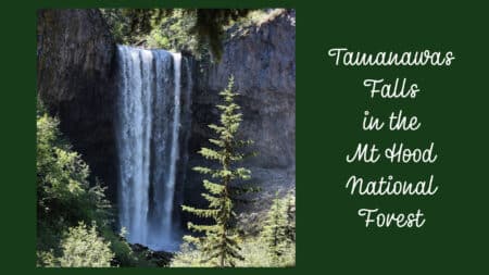 Tamanawas Falls in the Mt Hood National Forest with title