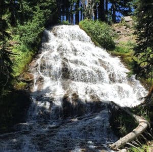 Umbrella Falls in the Mt Hood National forest