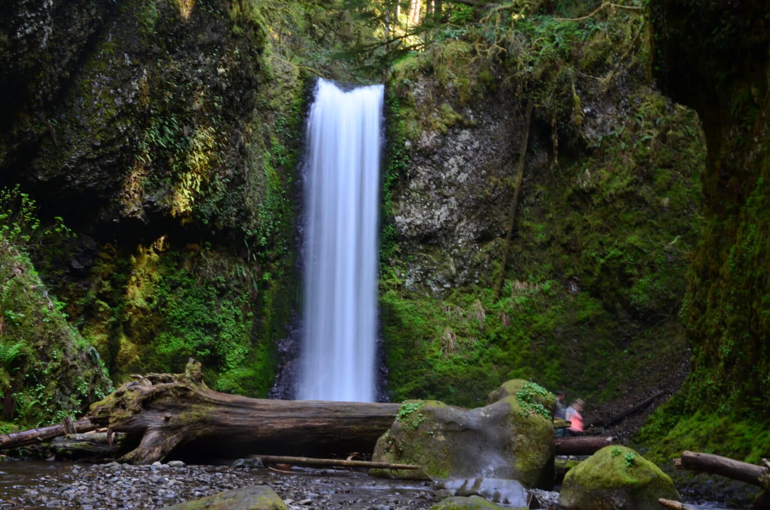 Weisendanger Falls in the Columbia River Gorge