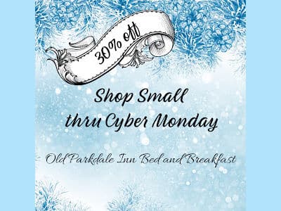 Shop Small thru Cyber Monday on blue ice