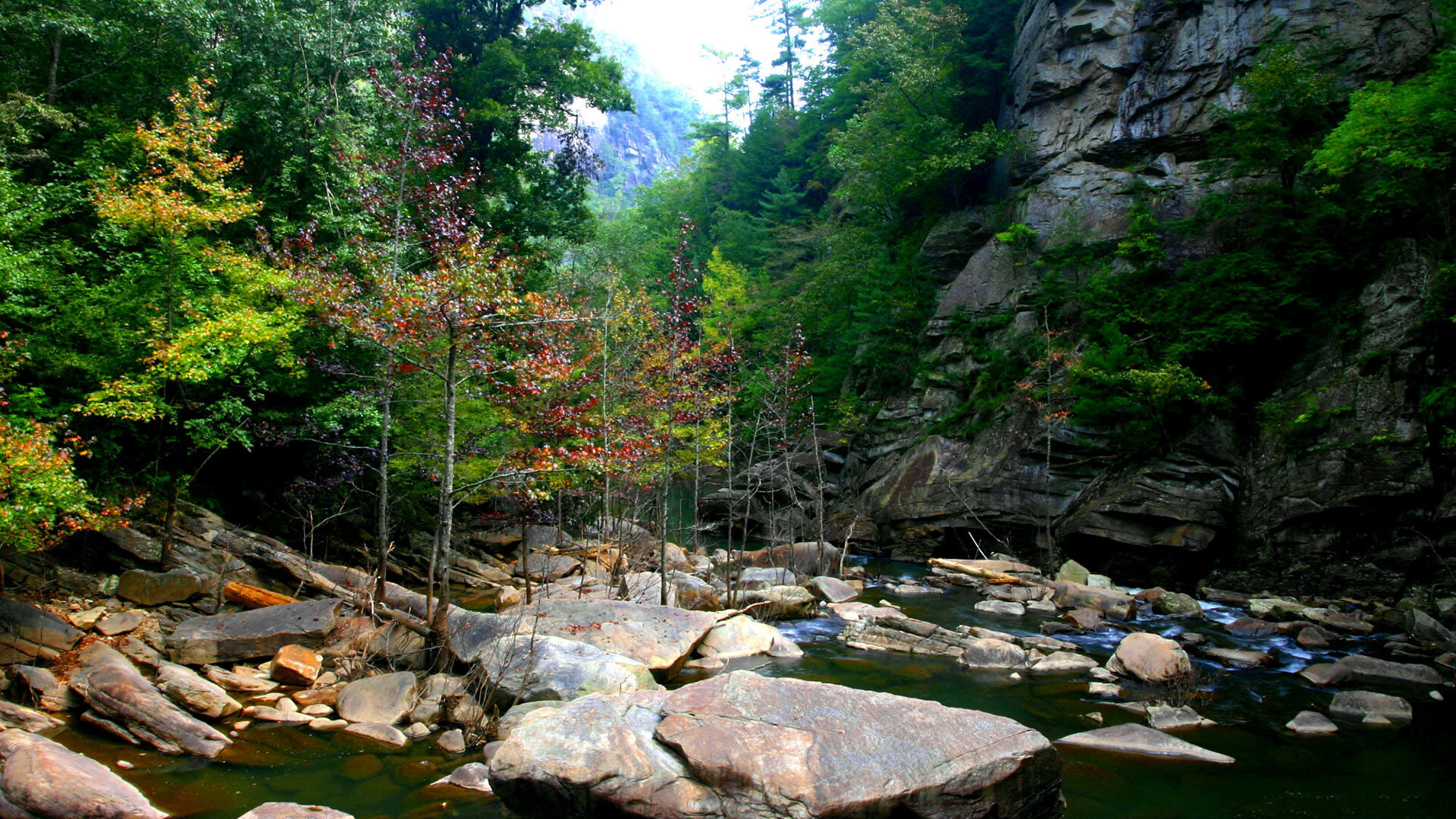 mountain stream